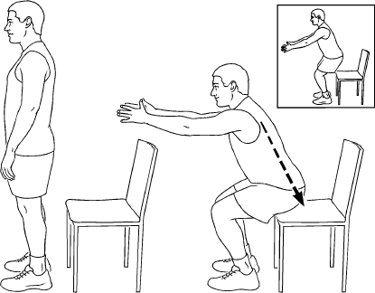 Knee Extension Sit to Stand Eccentric